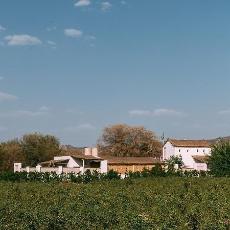 The Luxe Pushkar - A Luxury Farmstay In Pushkar Dış mekan fotoğraf