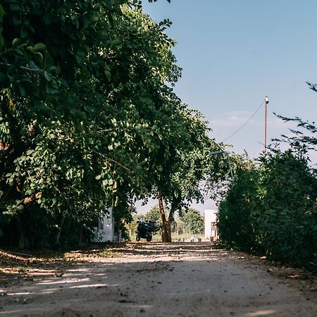 The Luxe Pushkar - A Luxury Farmstay In Pushkar Dış mekan fotoğraf