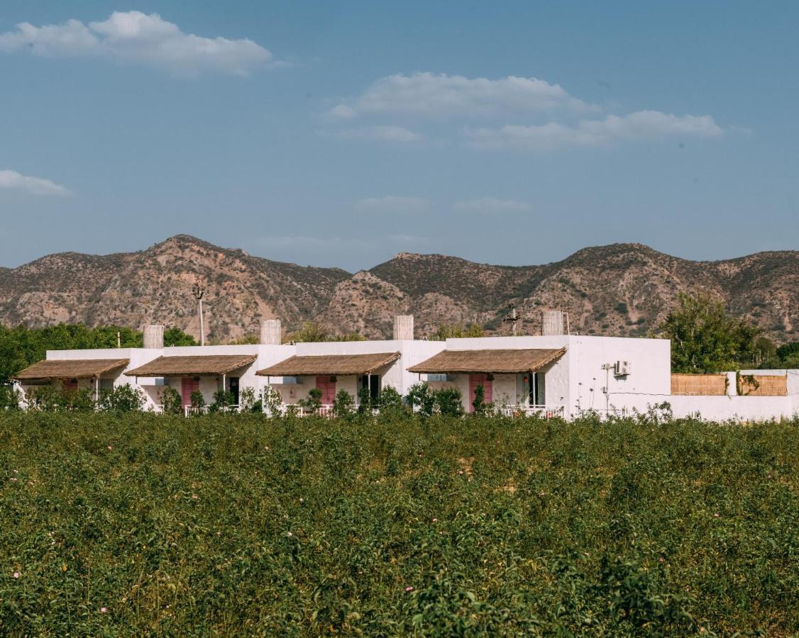 The Luxe Pushkar - A Luxury Farmstay In Pushkar Dış mekan fotoğraf