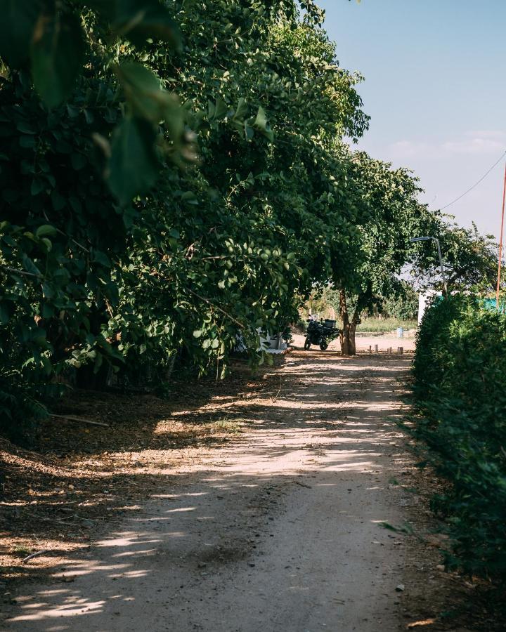 The Luxe Pushkar - A Luxury Farmstay In Pushkar Dış mekan fotoğraf
