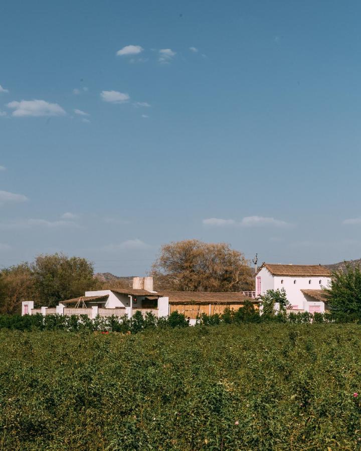 The Luxe Pushkar - A Luxury Farmstay In Pushkar Dış mekan fotoğraf