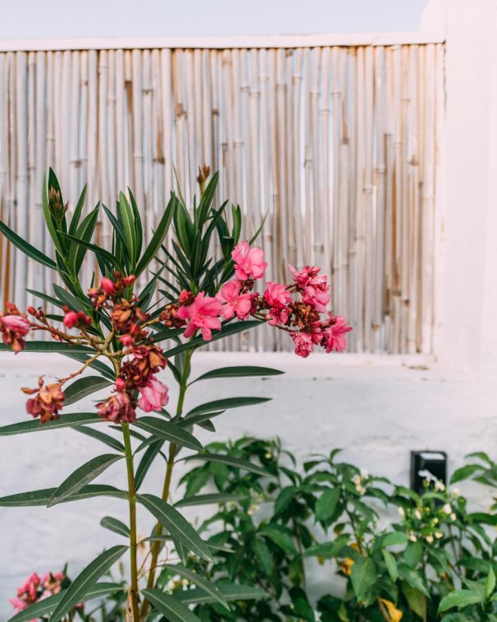 The Luxe Pushkar - A Luxury Farmstay In Pushkar Dış mekan fotoğraf