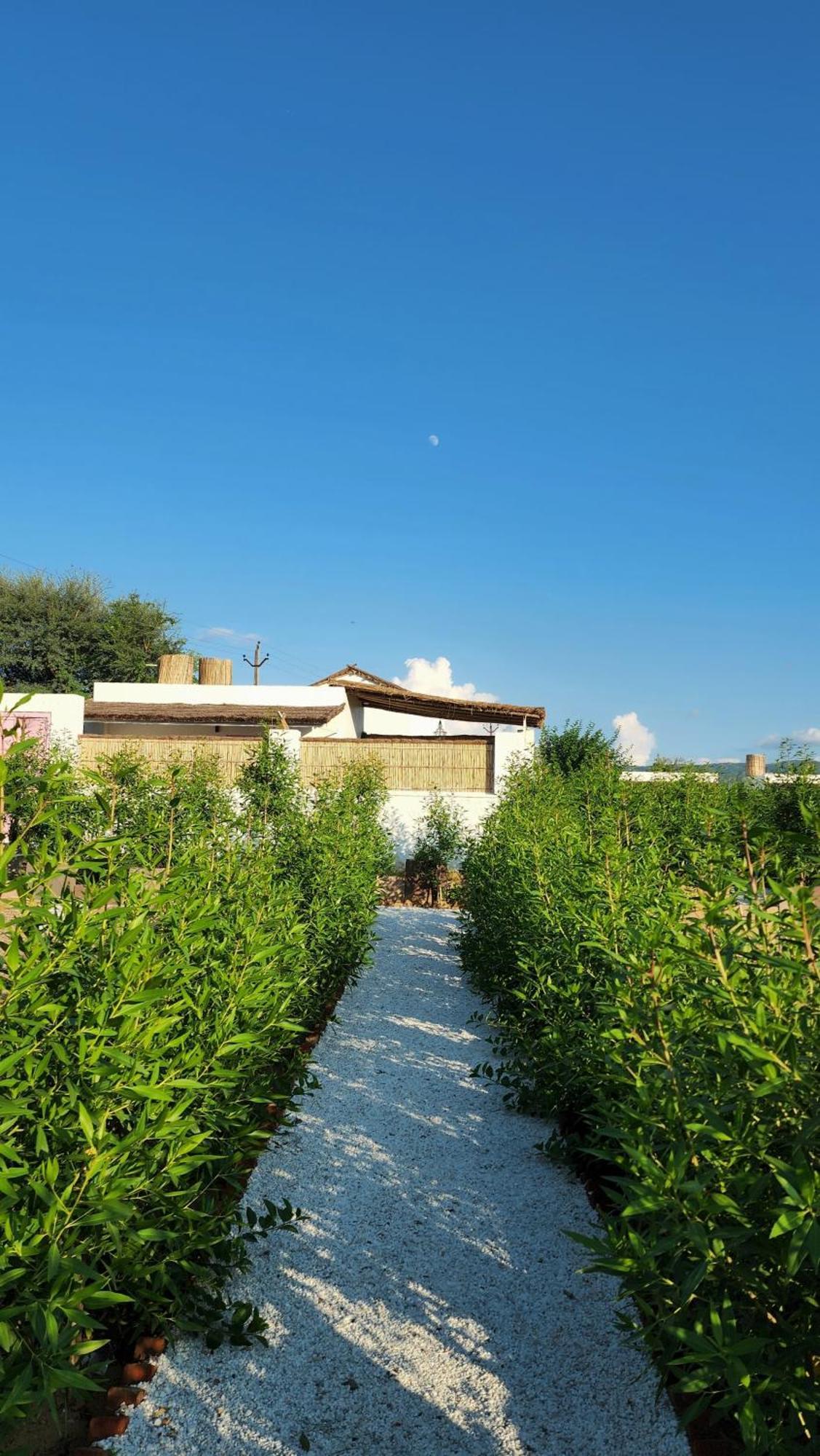The Luxe Pushkar - A Luxury Farmstay In Pushkar Dış mekan fotoğraf
