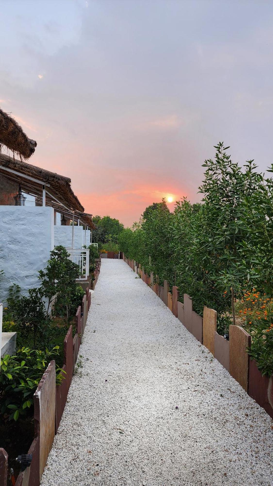 The Luxe Pushkar - A Luxury Farmstay In Pushkar Dış mekan fotoğraf