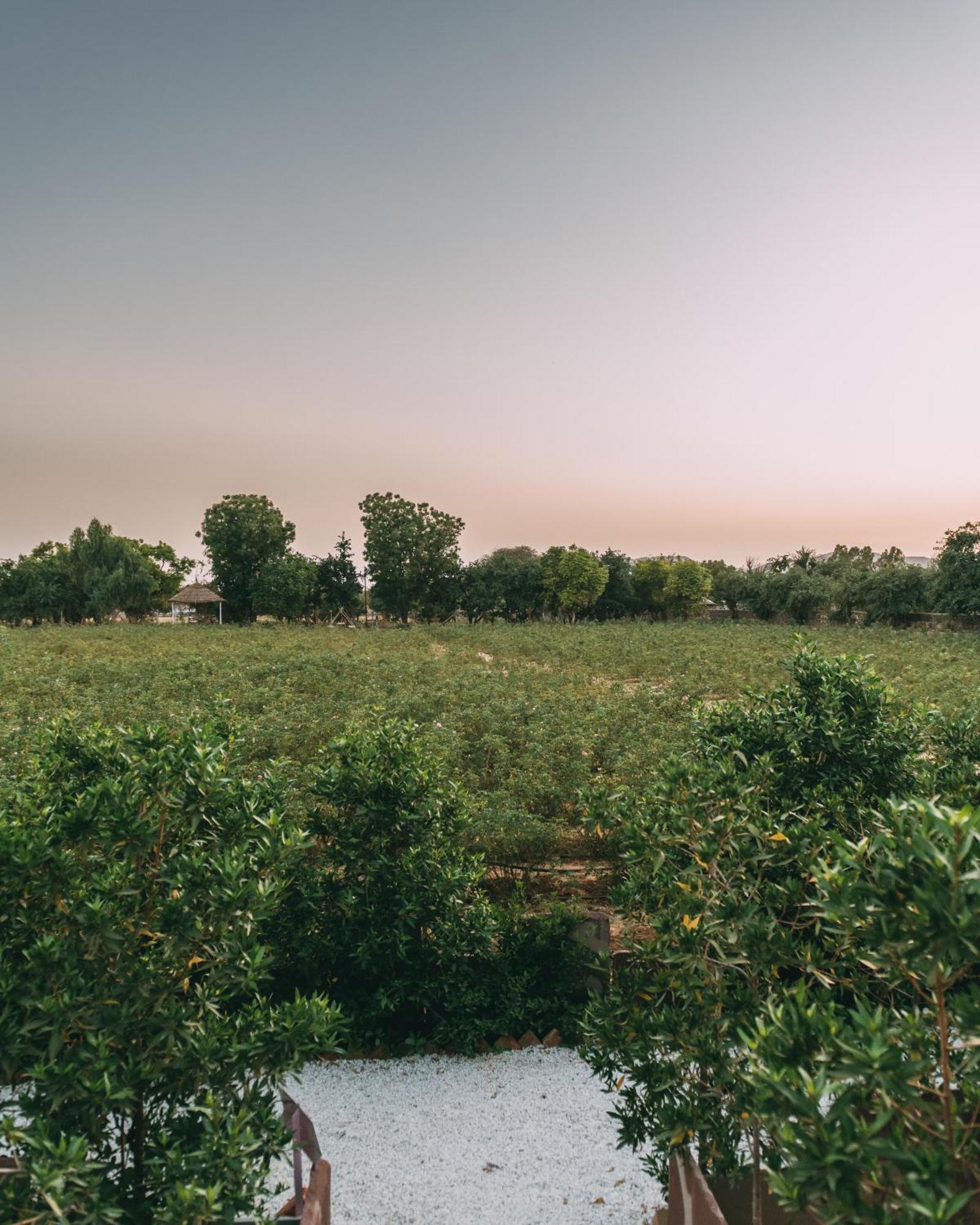 The Luxe Pushkar - A Luxury Farmstay In Pushkar Dış mekan fotoğraf