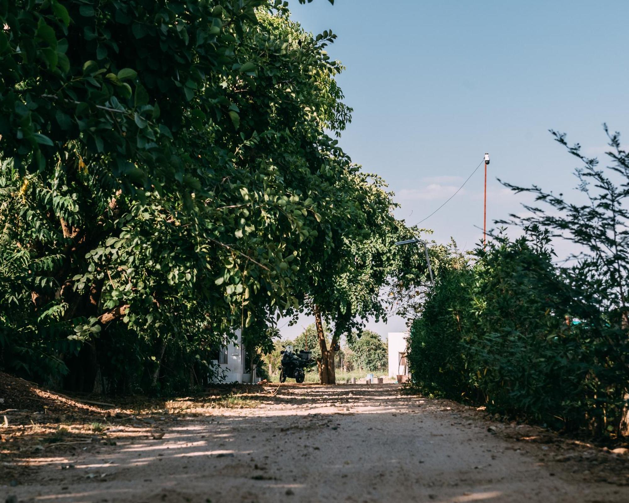 The Luxe Pushkar - A Luxury Farmstay In Pushkar Dış mekan fotoğraf